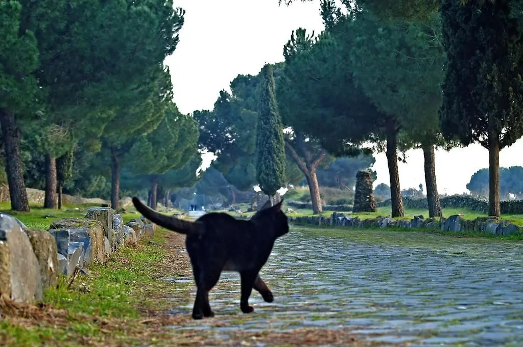 B&B Appia Felis Rome Bed & Breakfast